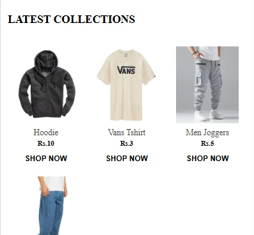 E-commerce website collection section