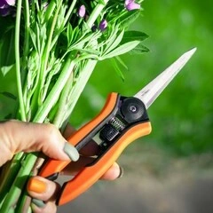Garden secateurs for cutting plants